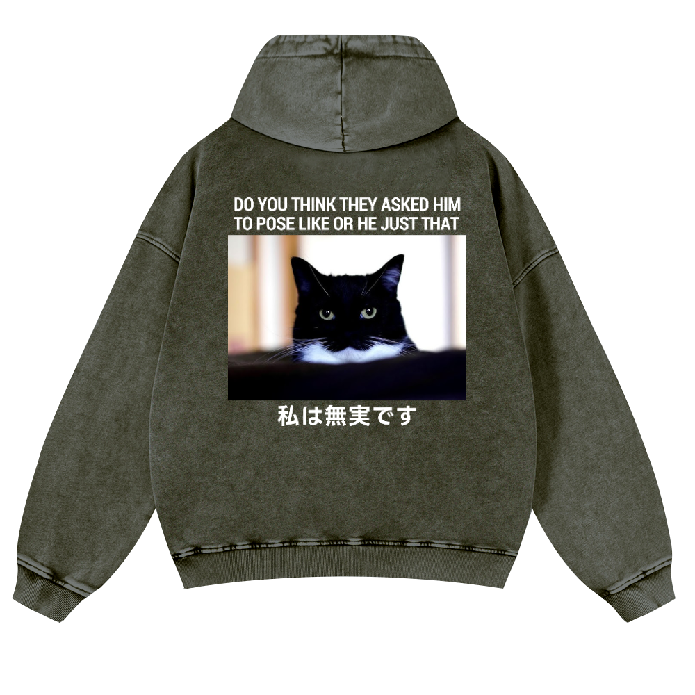 Cat Vintage Washed Cotton Back Art Hoodie