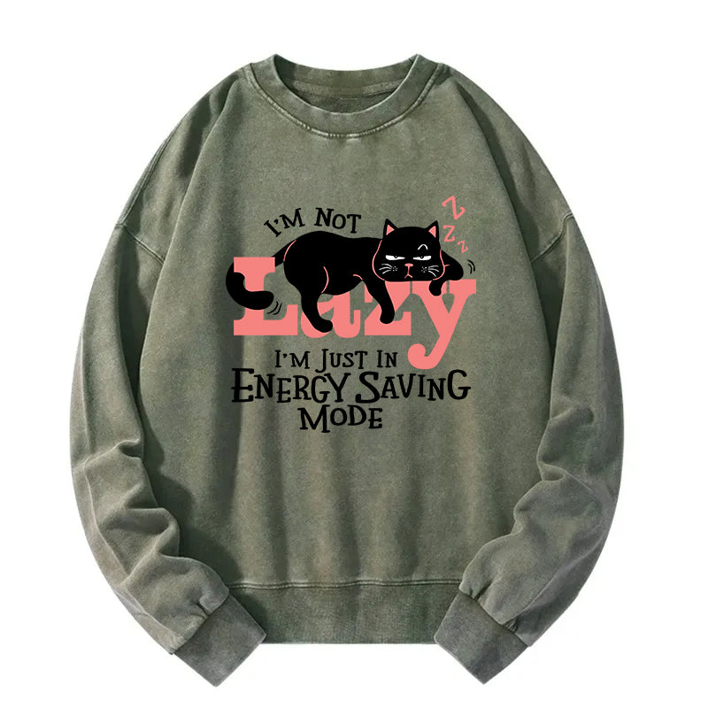 Energy Save Mode Cat Washed Sweatshirt