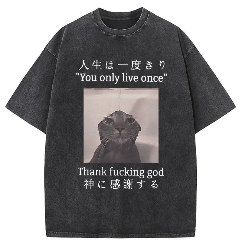 Funny Melancholy Cat Washed T-Shirt