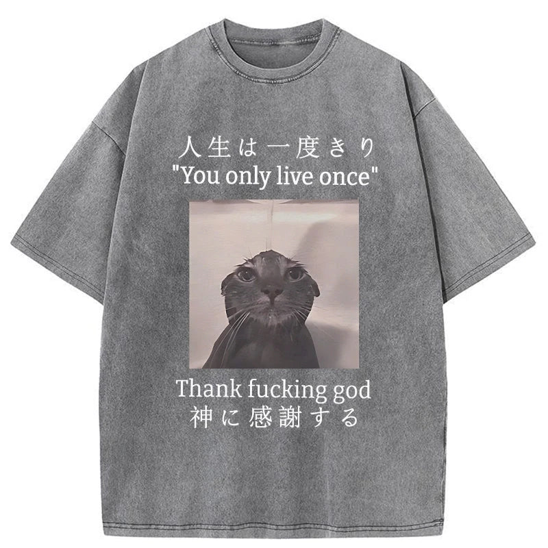 Funny Melancholy Cat Washed T-Shirt