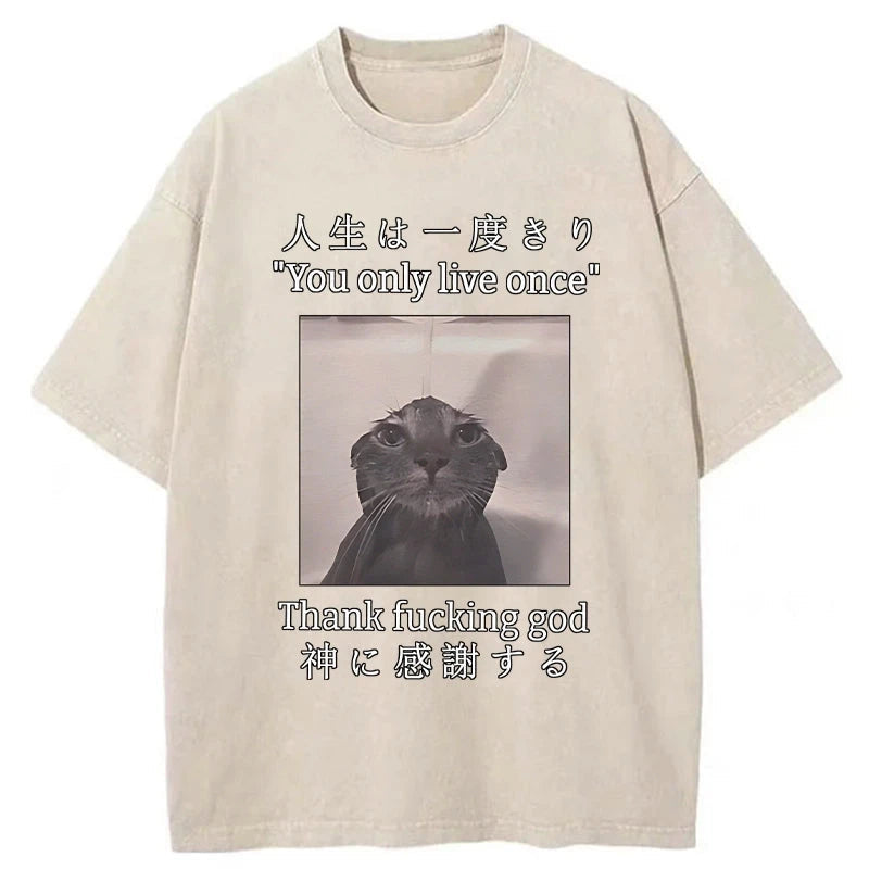 Funny Melancholy Cat Washed T-Shirt