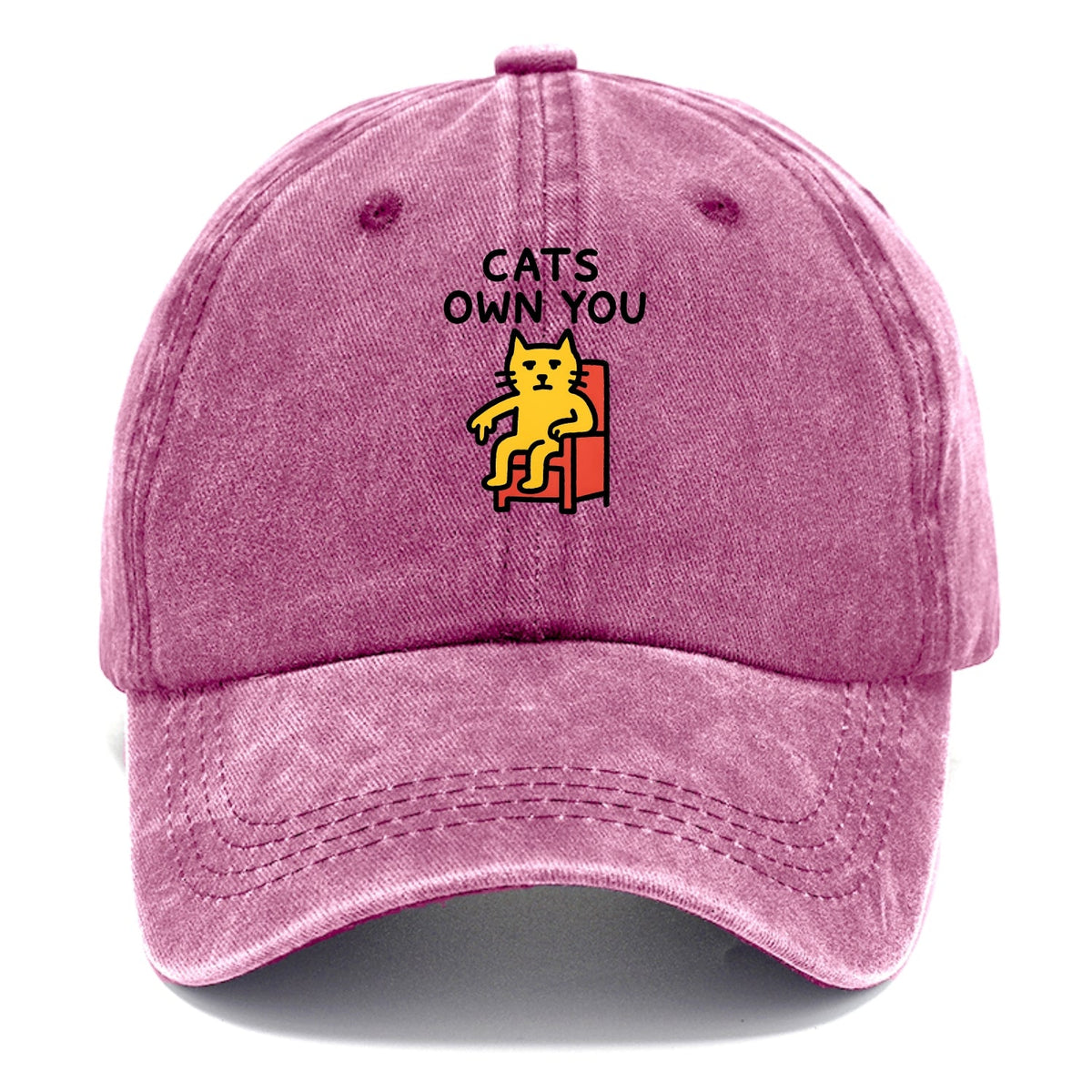 Cats Own You | Cat On Throne Pointing Down Washed Cap