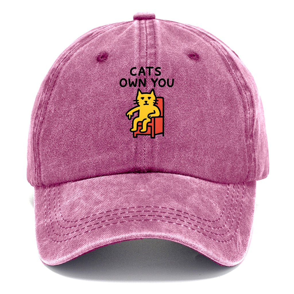 Cats Own You | Cat On Throne Pointing Down Washed Cap