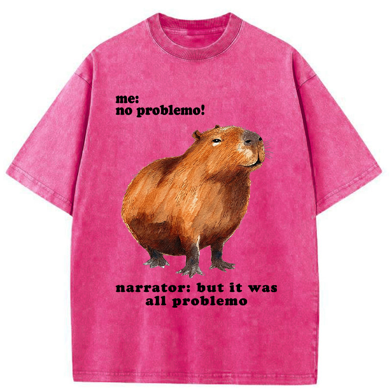 Unisex All Problemo, No Panic Washed T-Shirt
