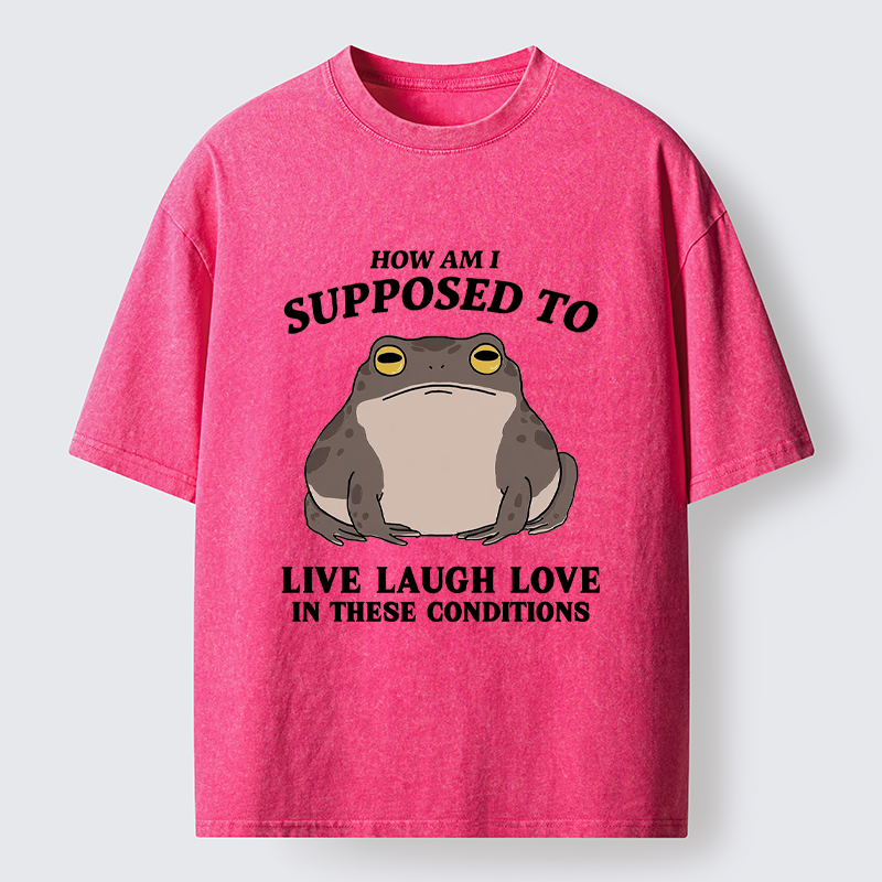 Unisex Frog Life Crisis Washed T-Shirt