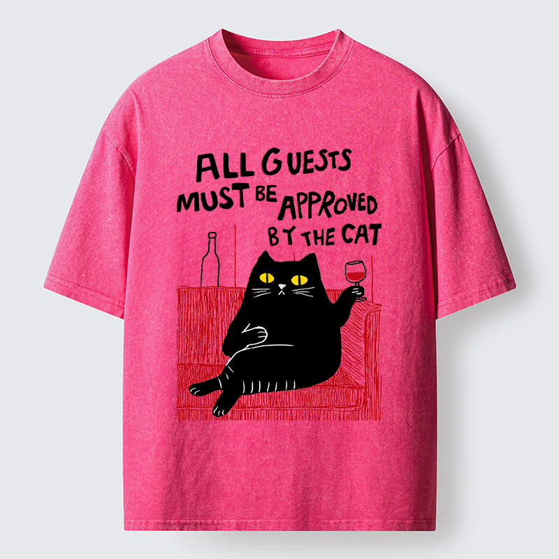 Unisex Guest Inspector Washed T-Shirt