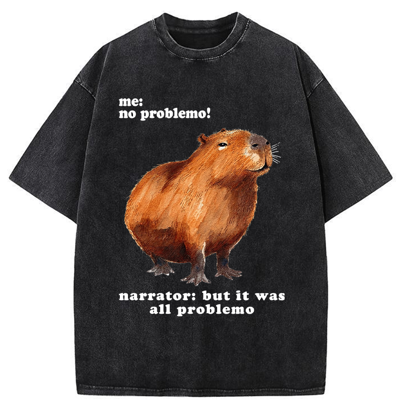 Unisex All Problemo, No Panic Washed T-Shirt