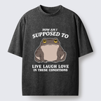 Unisex Frog Life Crisis Washed T-Shirt