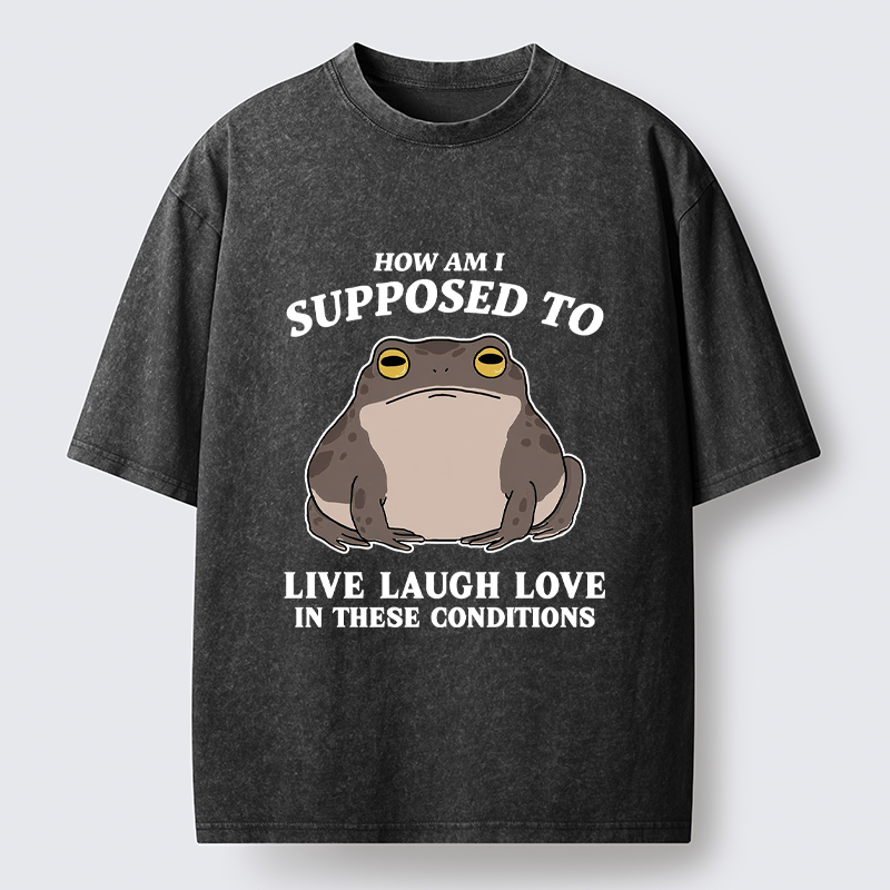 Unisex Frog Life Crisis Washed T-Shirt