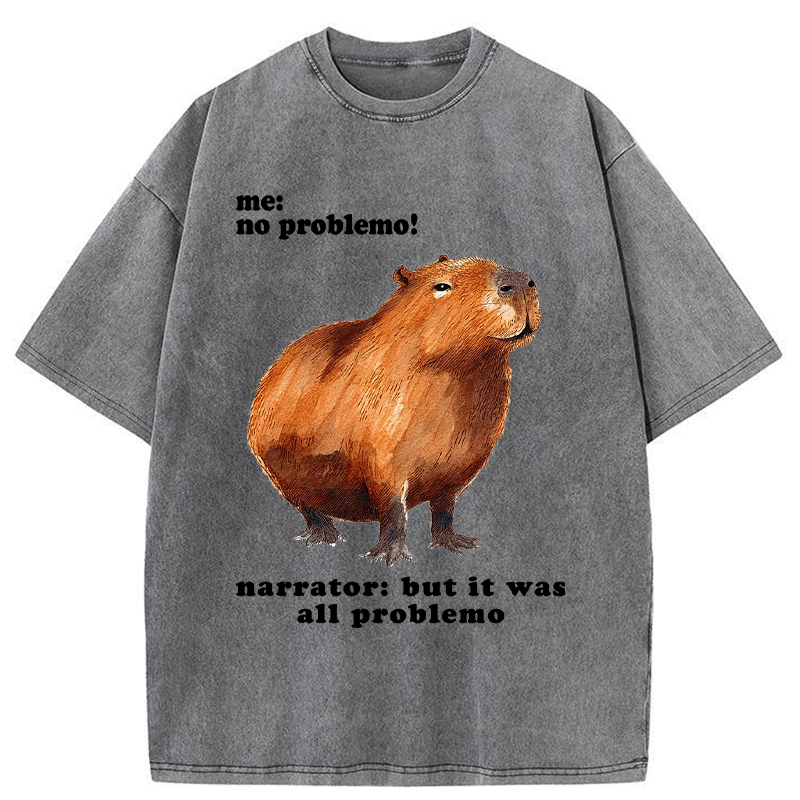 Unisex All Problemo, No Panic Washed T-Shirt