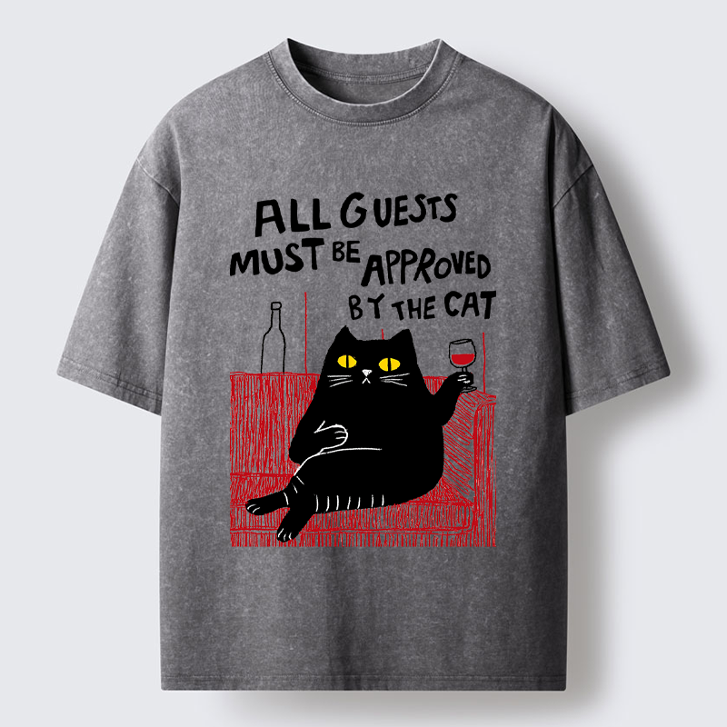 Unisex Guest Inspector Washed T-Shirt