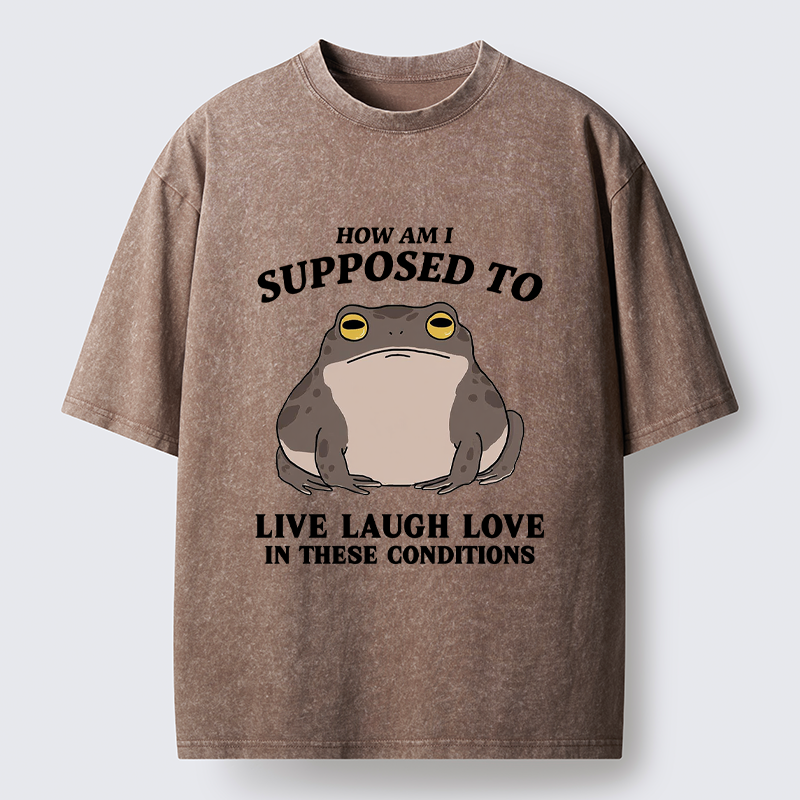 Unisex Frog Life Crisis Washed T-Shirt