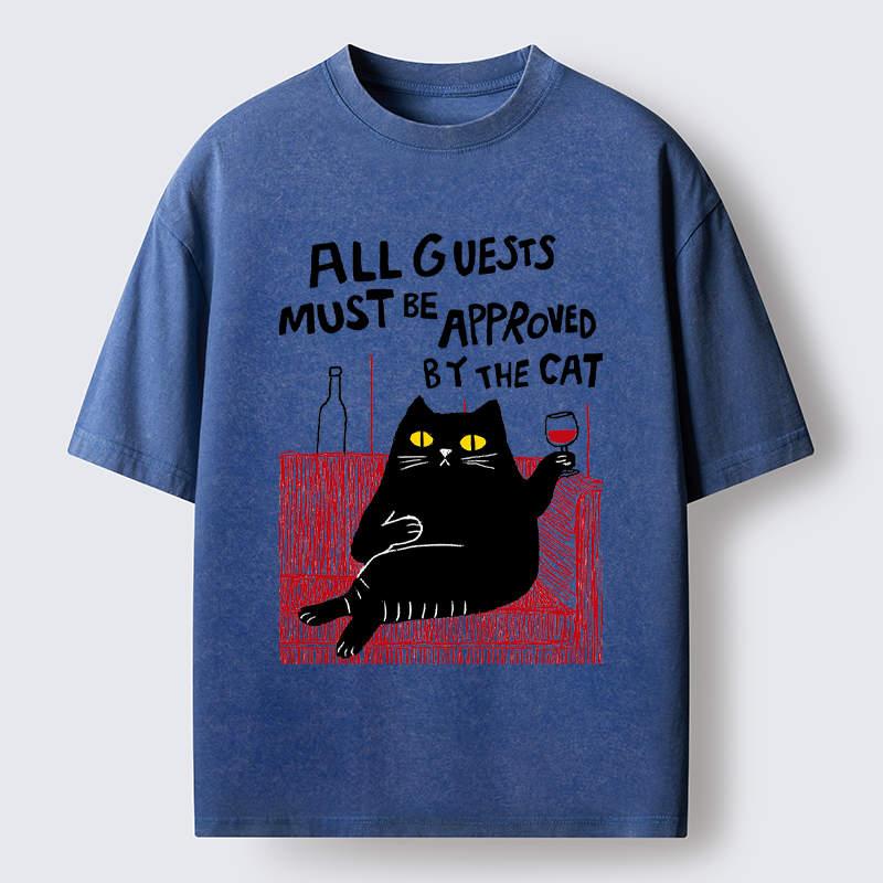Unisex Guest Inspector Washed T-Shirt