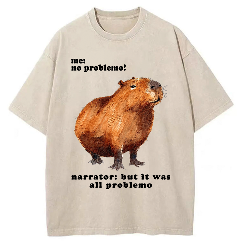 Unisex All Problemo, No Panic Washed T-Shirt