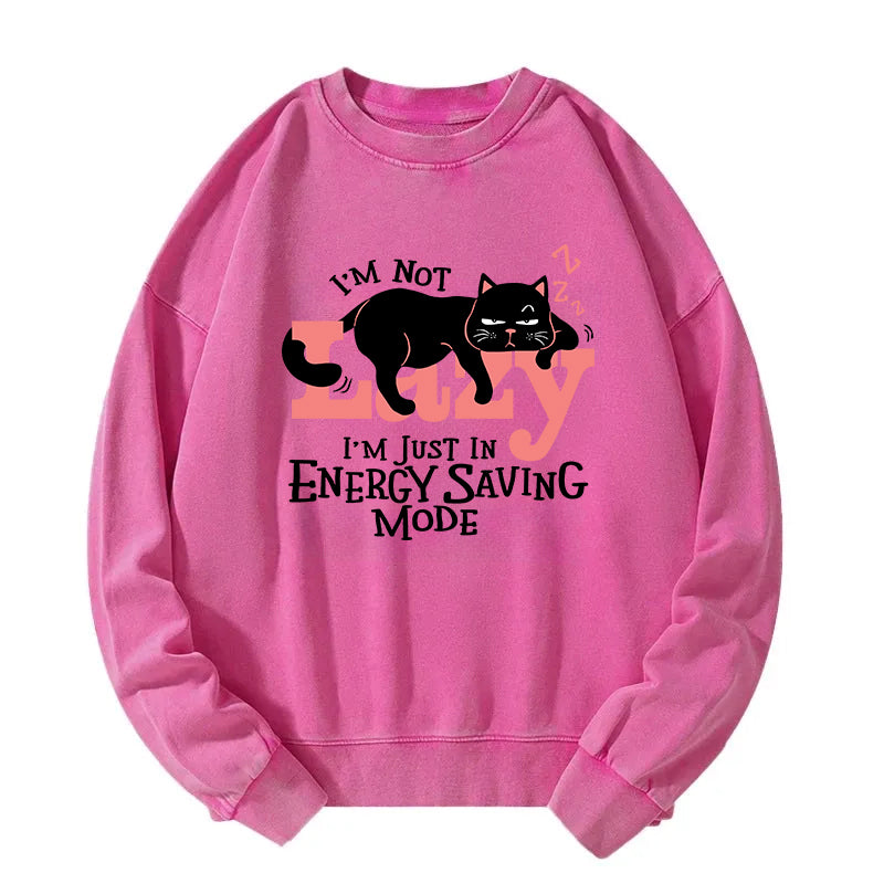 Energy Save Mode Cat Washed Sweatshirt
