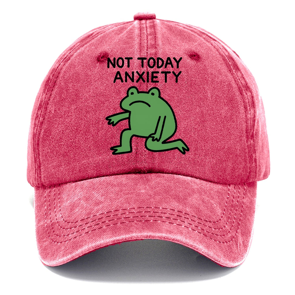 Another Trip Around The Sun Washed Cap