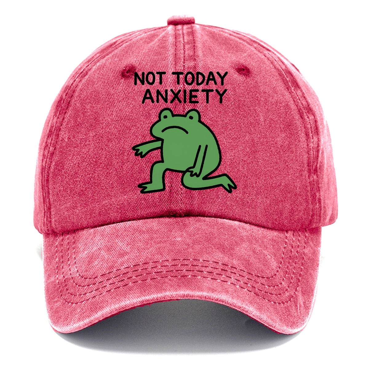 Another Trip Around The Sun Washed Cap