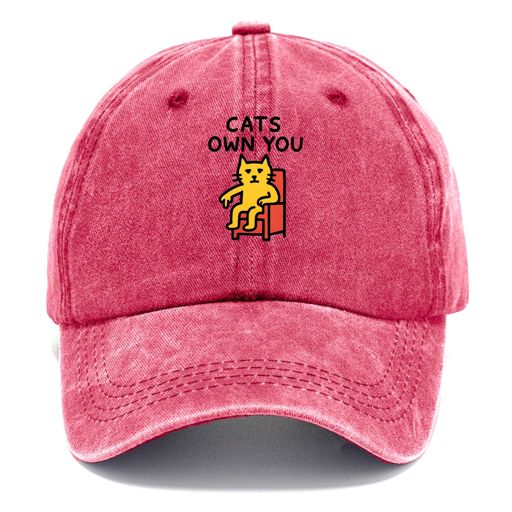 Cats Own You | Cat On Throne Pointing Down Washed Cap