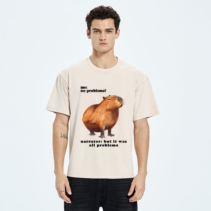 Unisex All Problemo, No Panic Washed T-Shirt