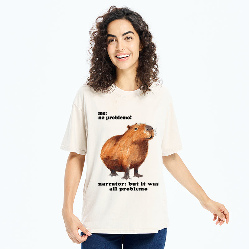 Unisex All Problemo, No Panic Washed T-Shirt
