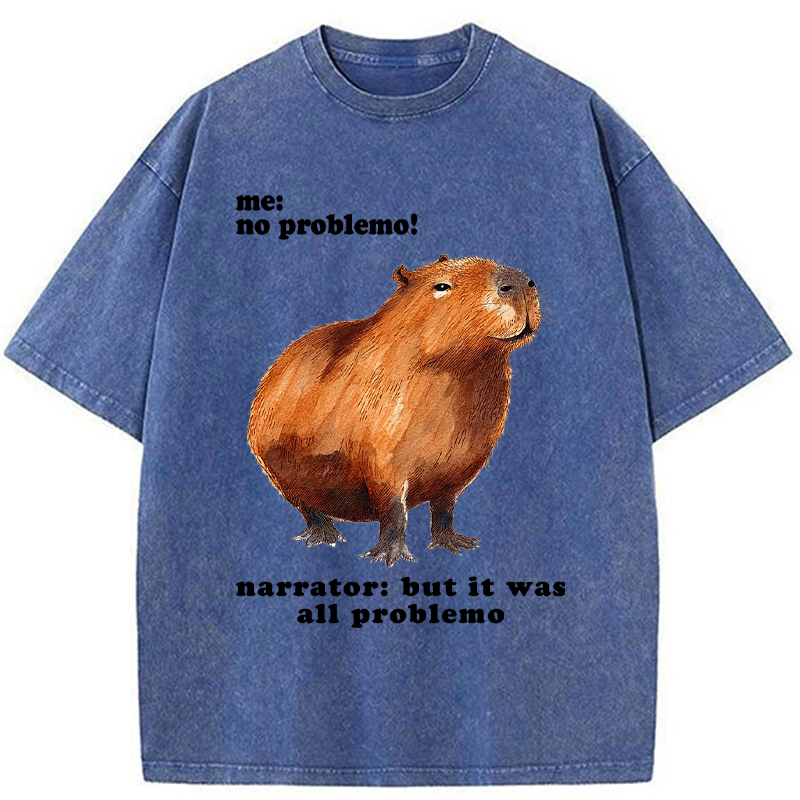 Unisex All Problemo, No Panic Washed T-Shirt