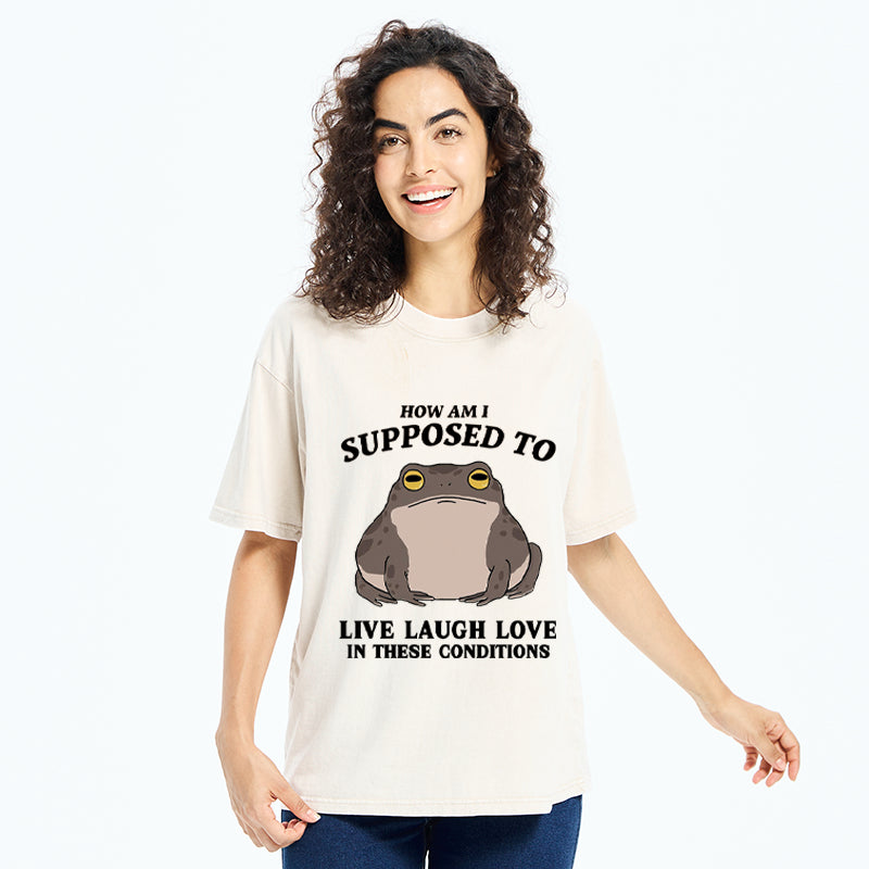 Unisex Frog Life Crisis Washed T-Shirt