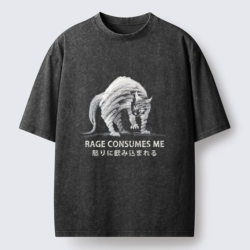 Unisex Rage Consumes Cat Washed T-Shirt