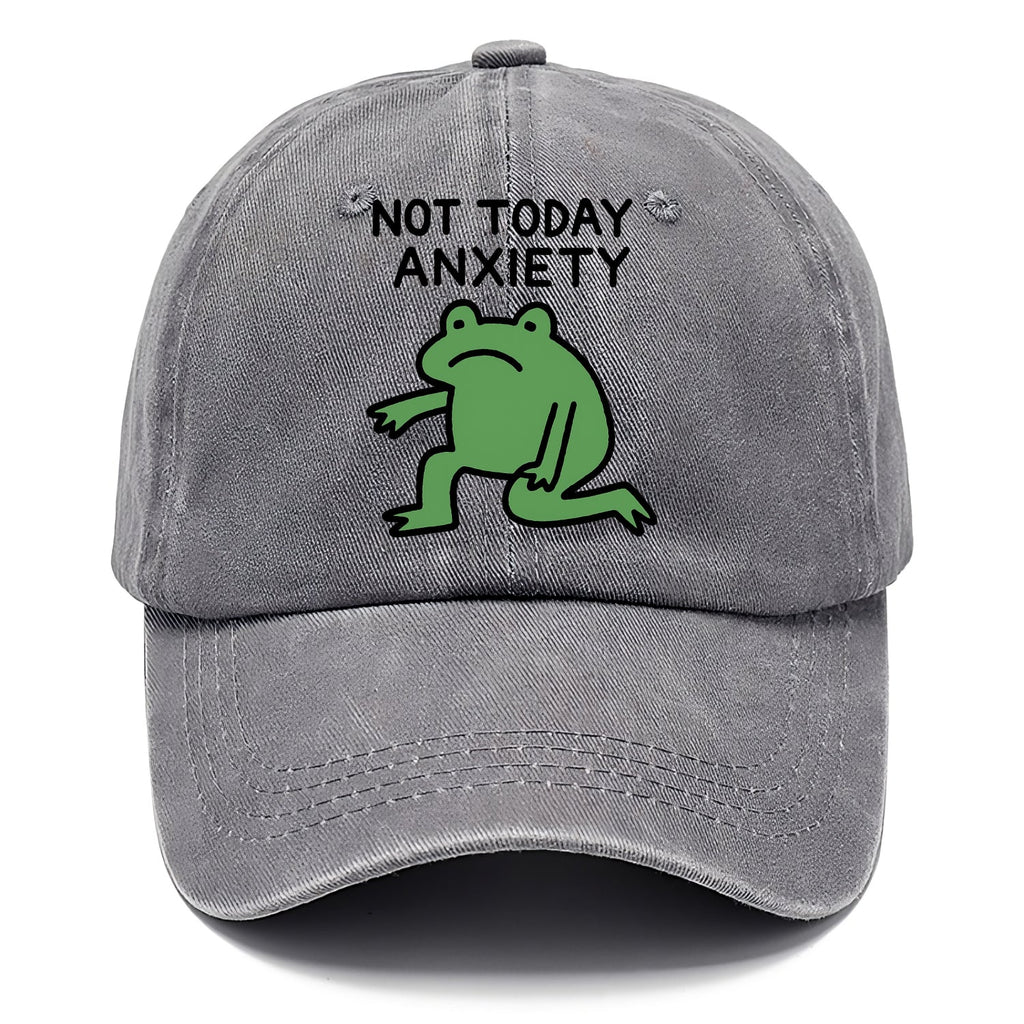 Another Trip Around The Sun Washed Cap