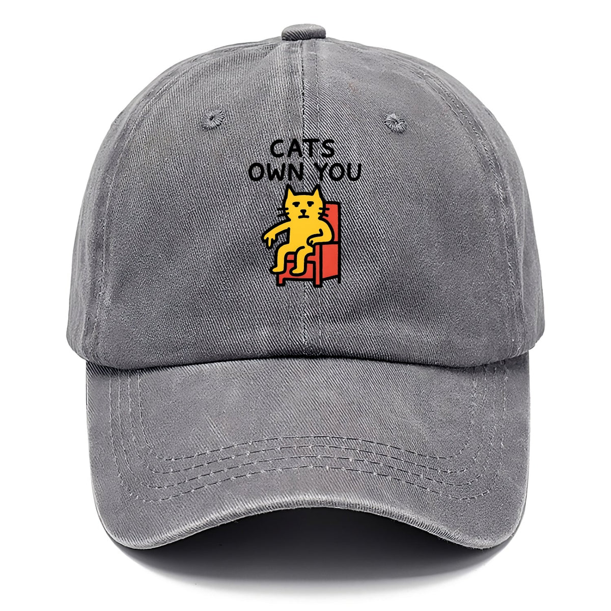 Cats Own You | Cat On Throne Pointing Down Washed Cap