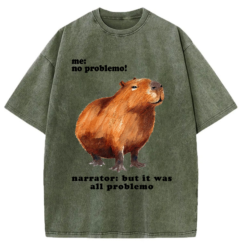 Unisex All Problemo, No Panic Washed T-Shirt