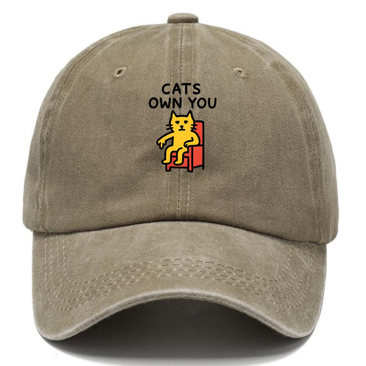 Cats Own You | Cat On Throne Pointing Down Washed Cap