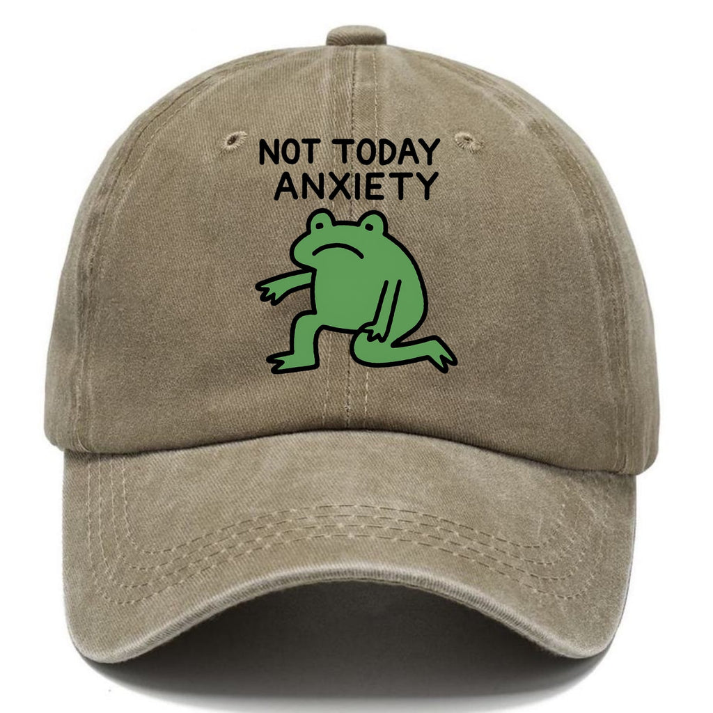 Another Trip Around The Sun Washed Cap