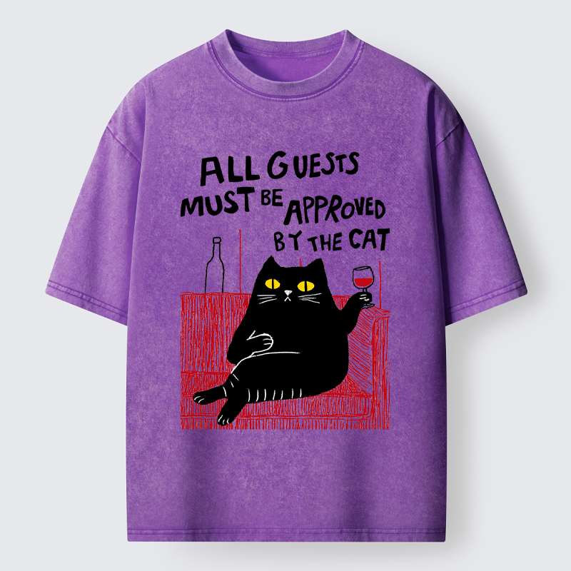 Unisex Guest Inspector Washed T-Shirt
