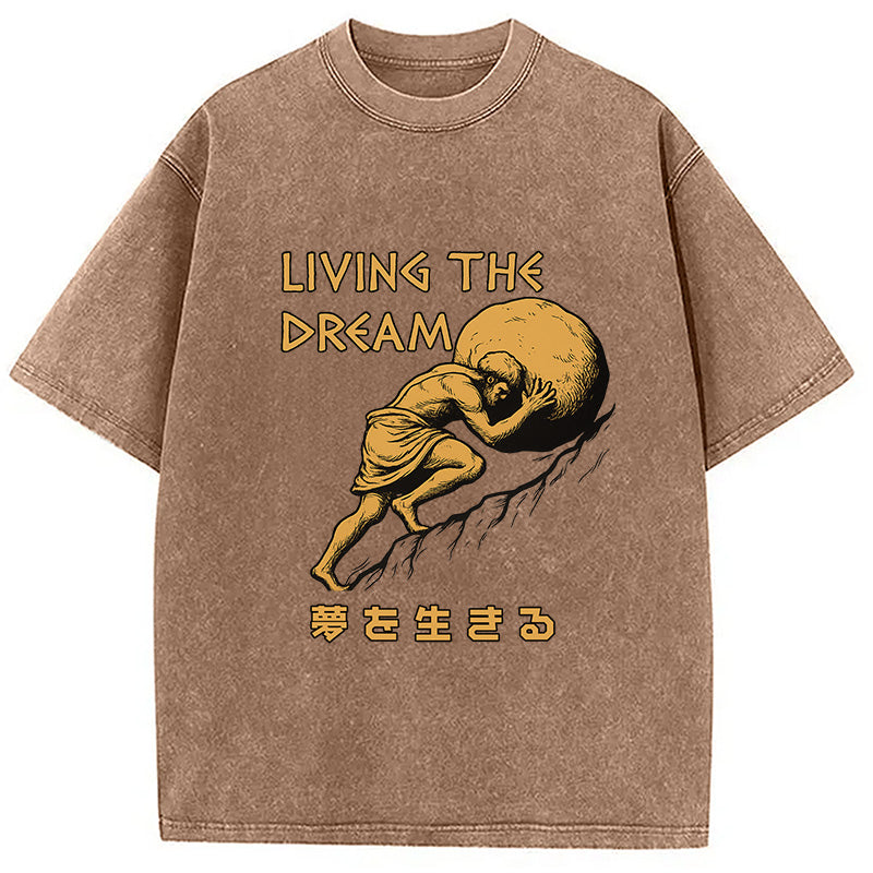 Living The Dream Meme Washed T-Shirt