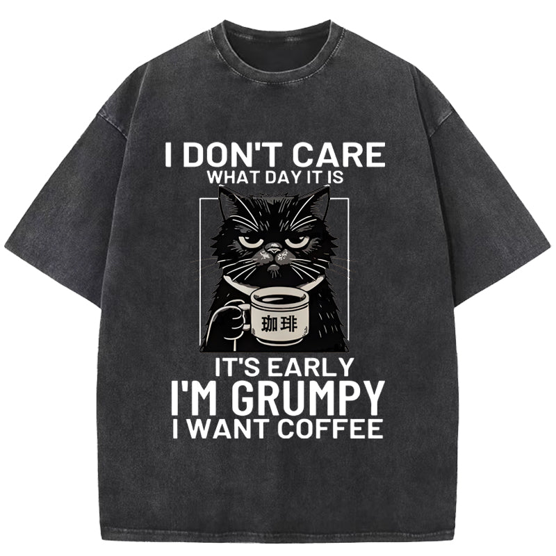 Funny Grumpy Cat Washed T-Shirt