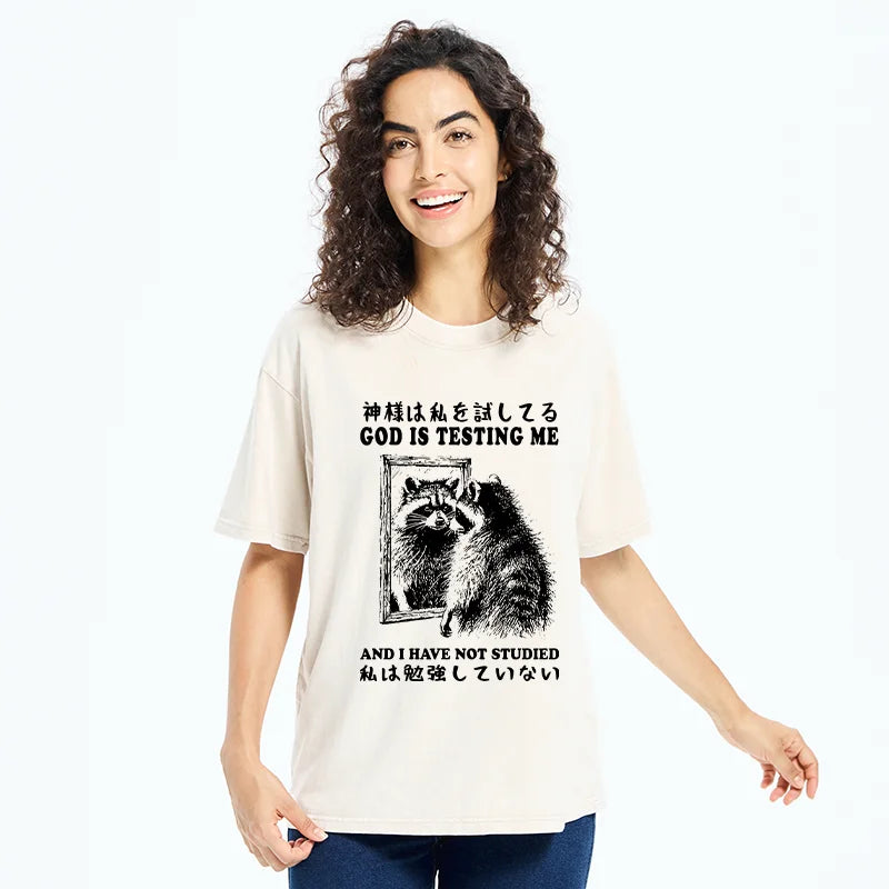 Raccoon Not Studied Washed T-Shirt