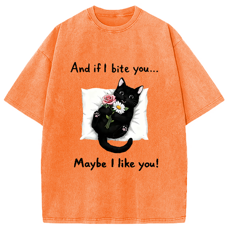 Cat's Expression Of Love Washed T-Shirt