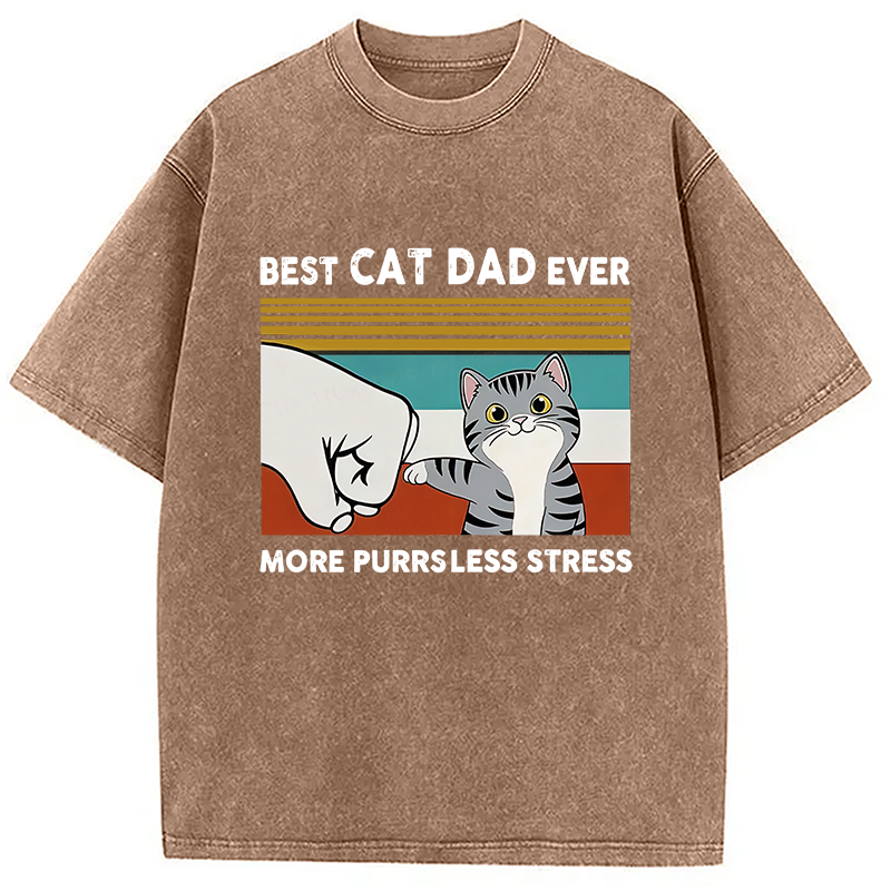Funny Cat Dad Washed T-Shirt