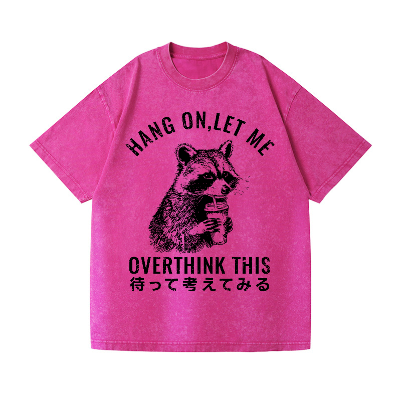 Racoon Vintage Wash Japanese Design T-Shirt