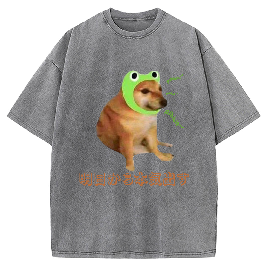I'll get serious from tomorrow Froggy Cheems Funny Memes Vintage Washed T-shirt