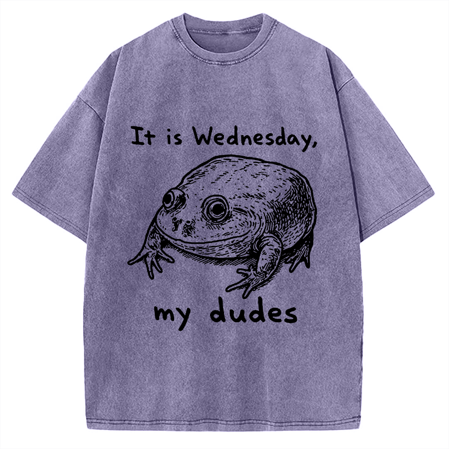 Wensday Frog Vintage Washed T-shirt