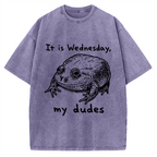 Wensday Frog Vintage Washed T-shirt