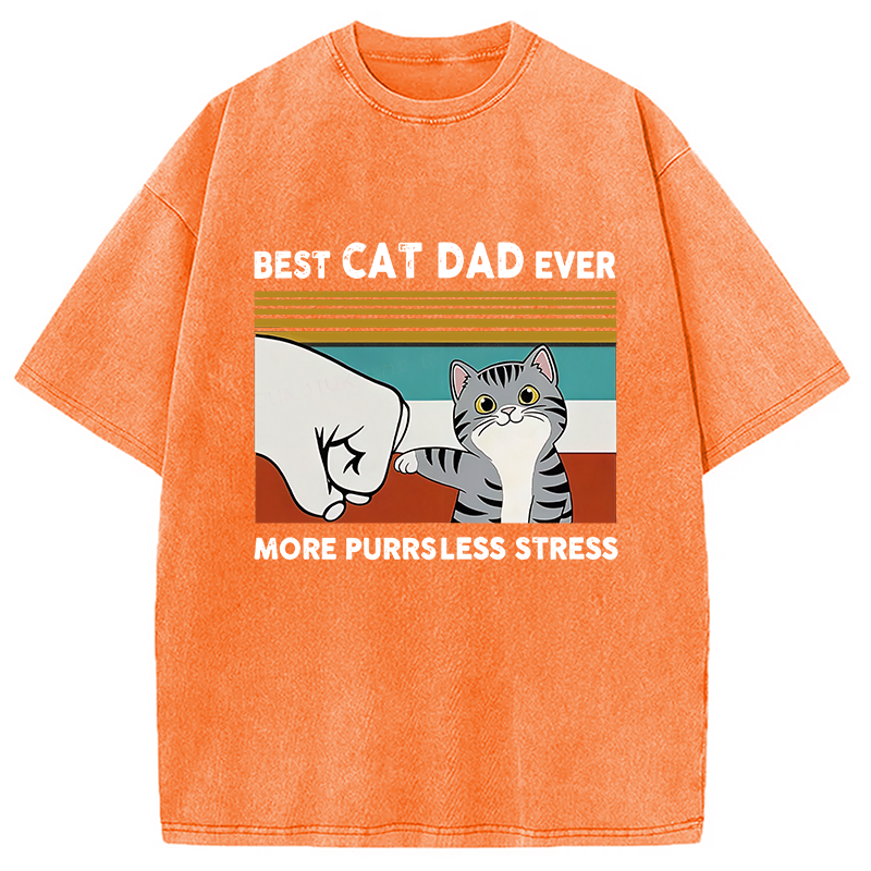 Funny Cat Dad Washed T-Shirt