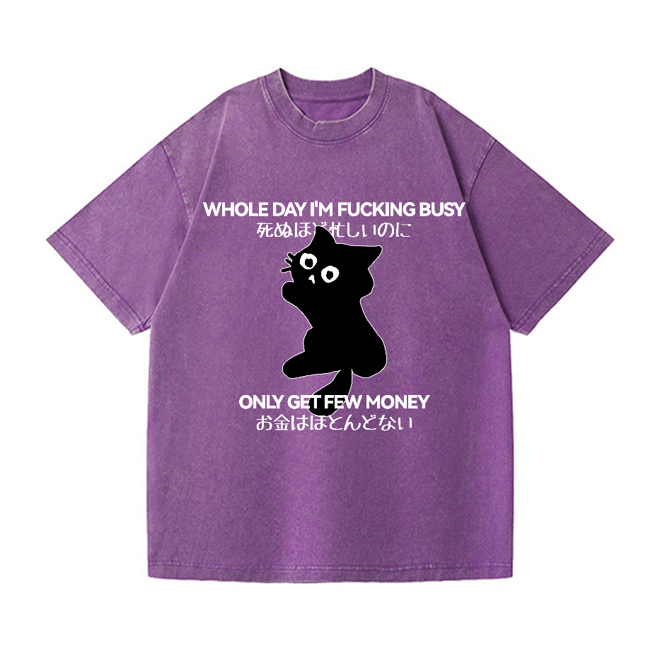 Cat Vintage Wash Japanese Design T-Shirt