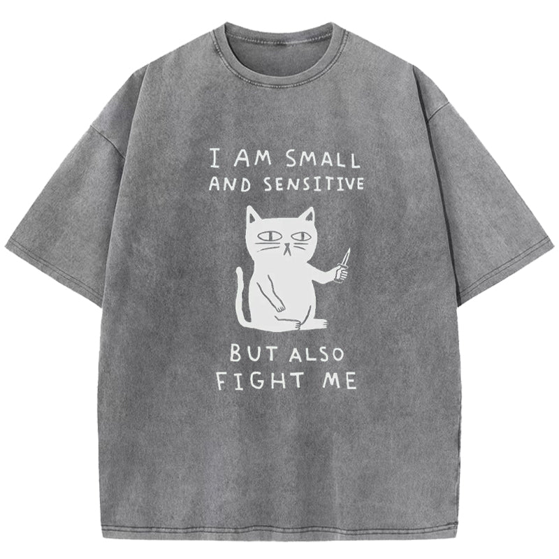 I Am Small And Sensitive Washed T-Shirt