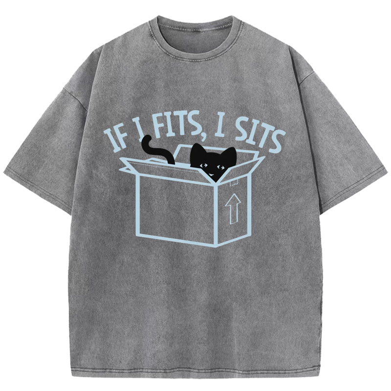IF I Fits, l Sits Washed T-Shirt