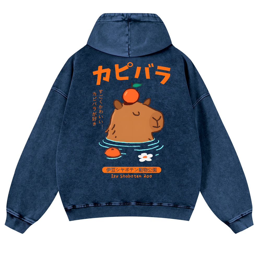 Capybara Vintage Washed Cotton Back Art Hoodie