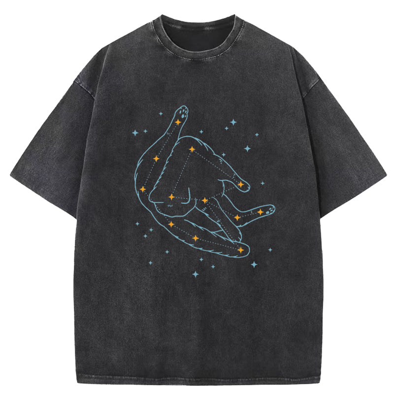Catstellation Washed T-Shirt