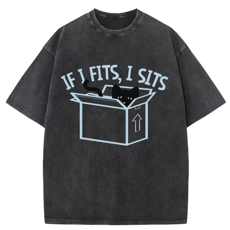 IF I Fits, l Sits Washed T-Shirt