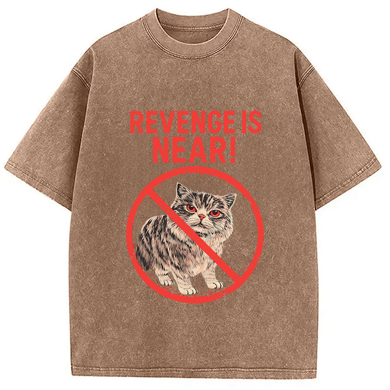 Revenge Is Near! Cat Washed T-Shirt